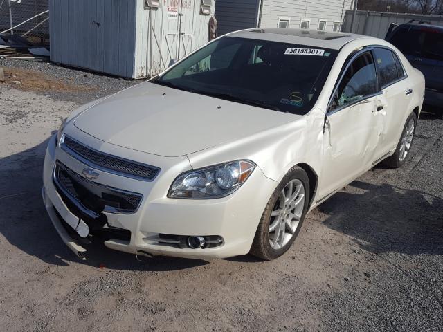 Photo 1 VIN: 1G1ZE5E74BF337145 - CHEVROLET MALIBU LTZ 