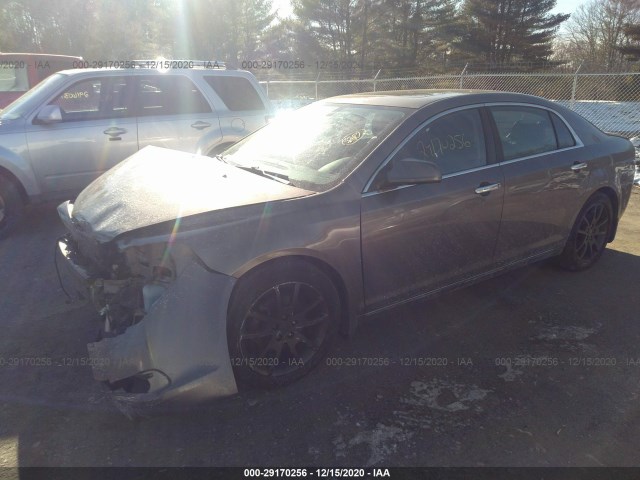 Photo 1 VIN: 1G1ZE5E77AF183075 - CHEVROLET MALIBU 