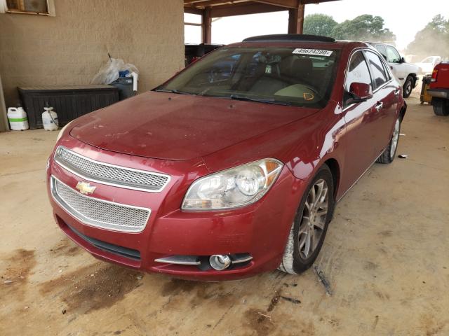 Photo 1 VIN: 1G1ZE5E78BF141774 - CHEVROLET MALIBU LTZ 