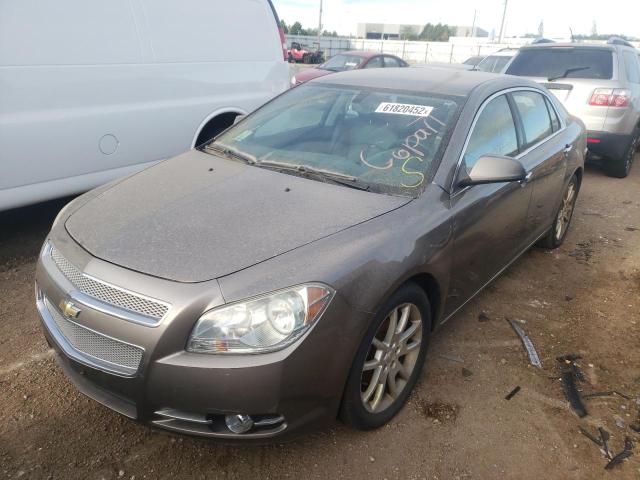 Photo 1 VIN: 1G1ZE5EB7AF229752 - CHEVROLET MALIBU LTZ 