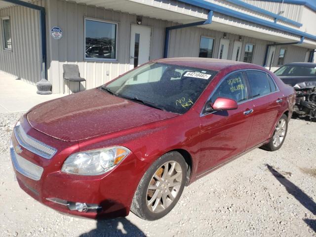 Photo 1 VIN: 1G1ZE5EU8BF171430 - CHEVROLET MALIBU LTZ 