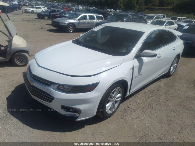 Photo 1 VIN: 1G1ZE5ST0HF215313 - CHEVROLET MALIBU 