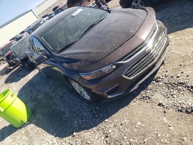 Photo 3 VIN: 1G1ZE5ST1GF248416 - CHEVROLET MALIBU 