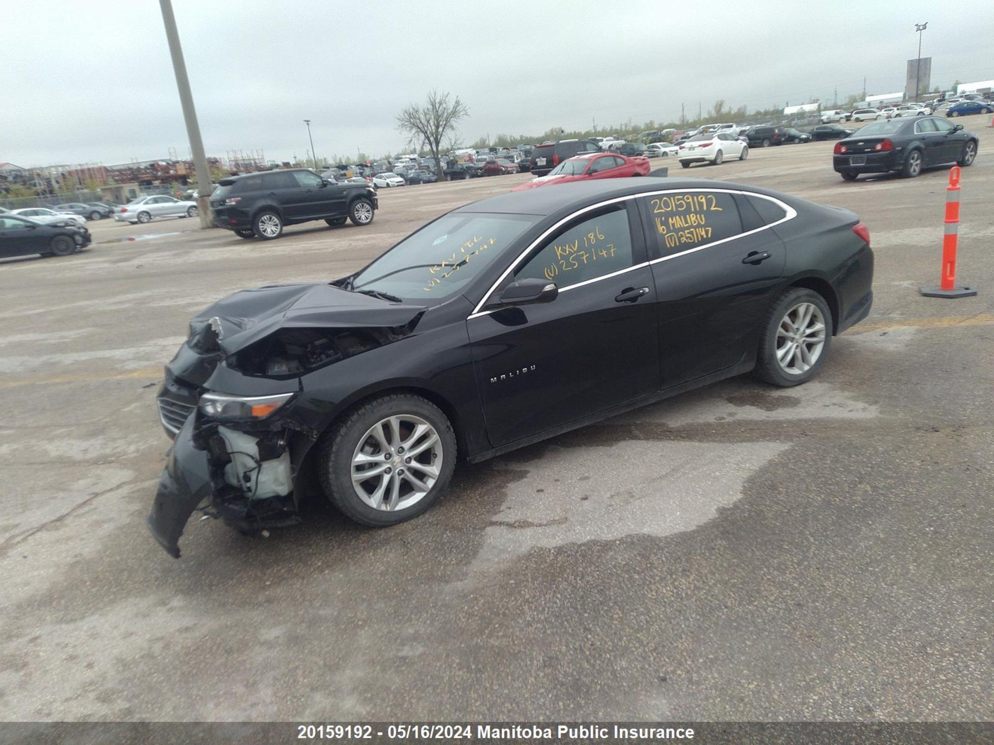 Photo 1 VIN: 1G1ZE5ST1GF257147 - CHEVROLET MALIBU 