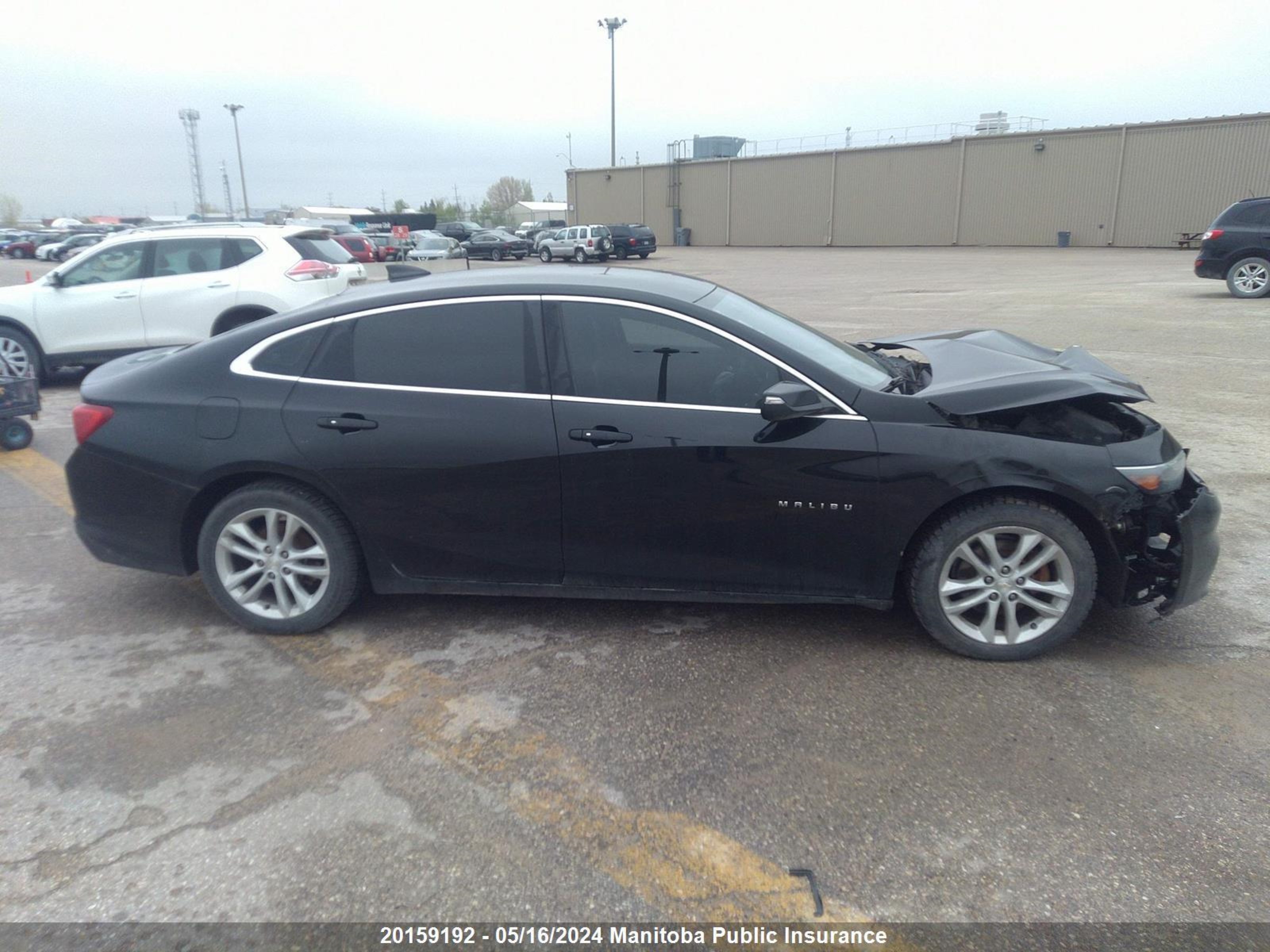 Photo 12 VIN: 1G1ZE5ST1GF257147 - CHEVROLET MALIBU 