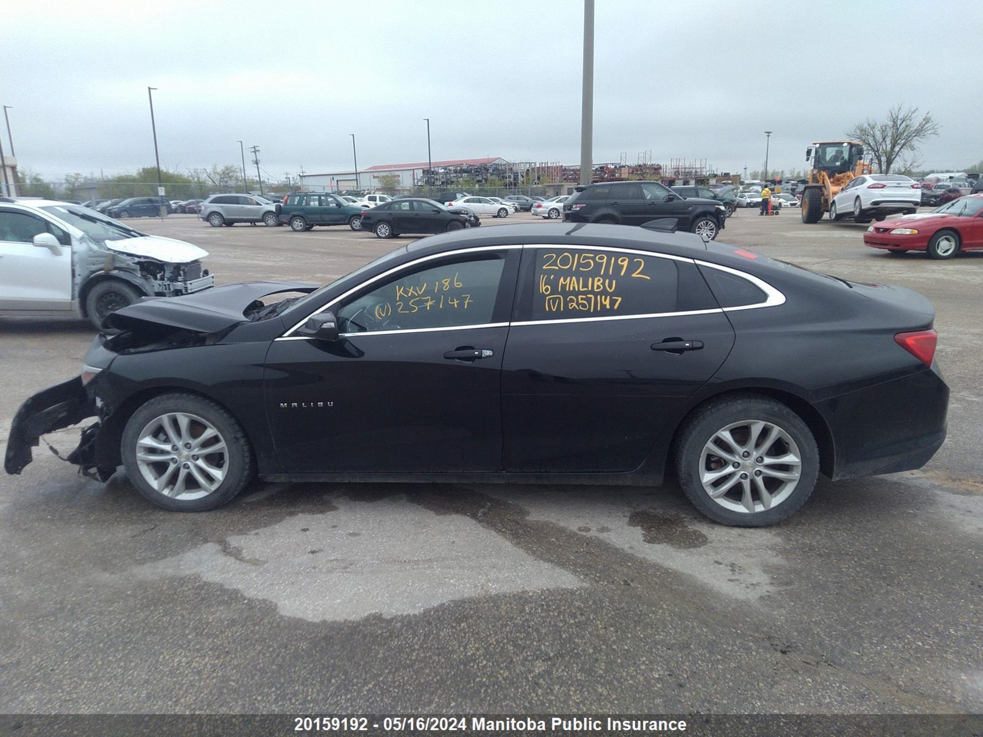 Photo 13 VIN: 1G1ZE5ST1GF257147 - CHEVROLET MALIBU 