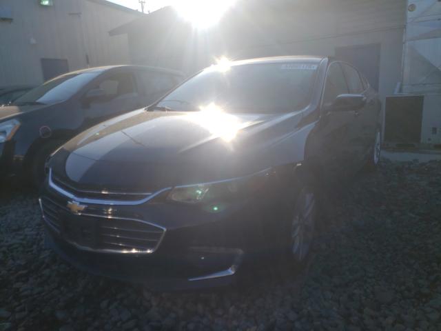 Photo 1 VIN: 1G1ZE5ST2GF300281 - CHEVROLET MALIBU LT 