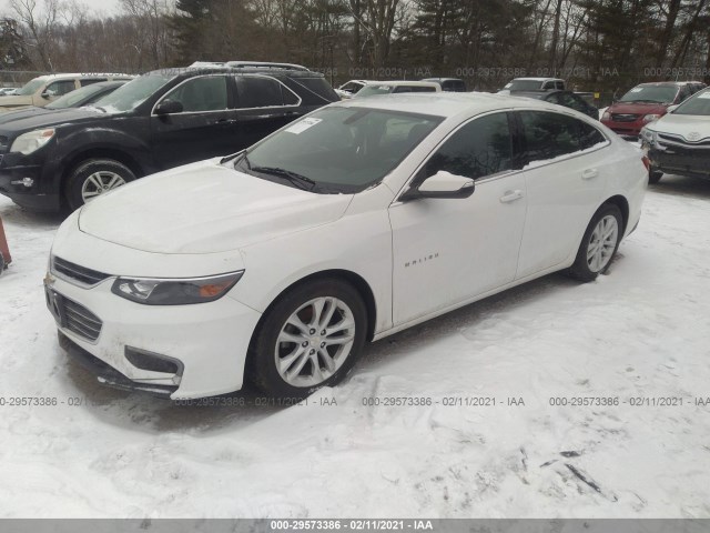 Photo 1 VIN: 1G1ZE5ST2HF244490 - CHEVROLET MALIBU 