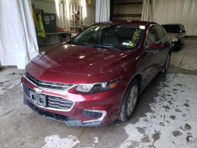 Photo 1 VIN: 1G1ZE5ST3GF255237 - CHEVROLET MALIBU LT 