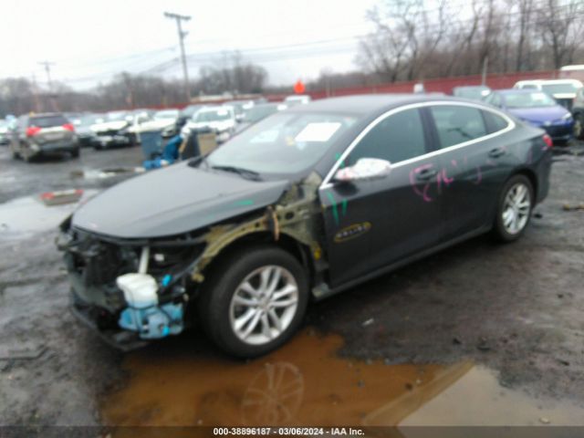 Photo 1 VIN: 1G1ZE5ST4HF281346 - CHEVROLET MALIBU 