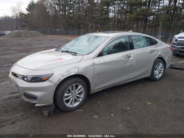 Photo 1 VIN: 1G1ZE5ST5GF330052 - CHEVROLET MALIBU 