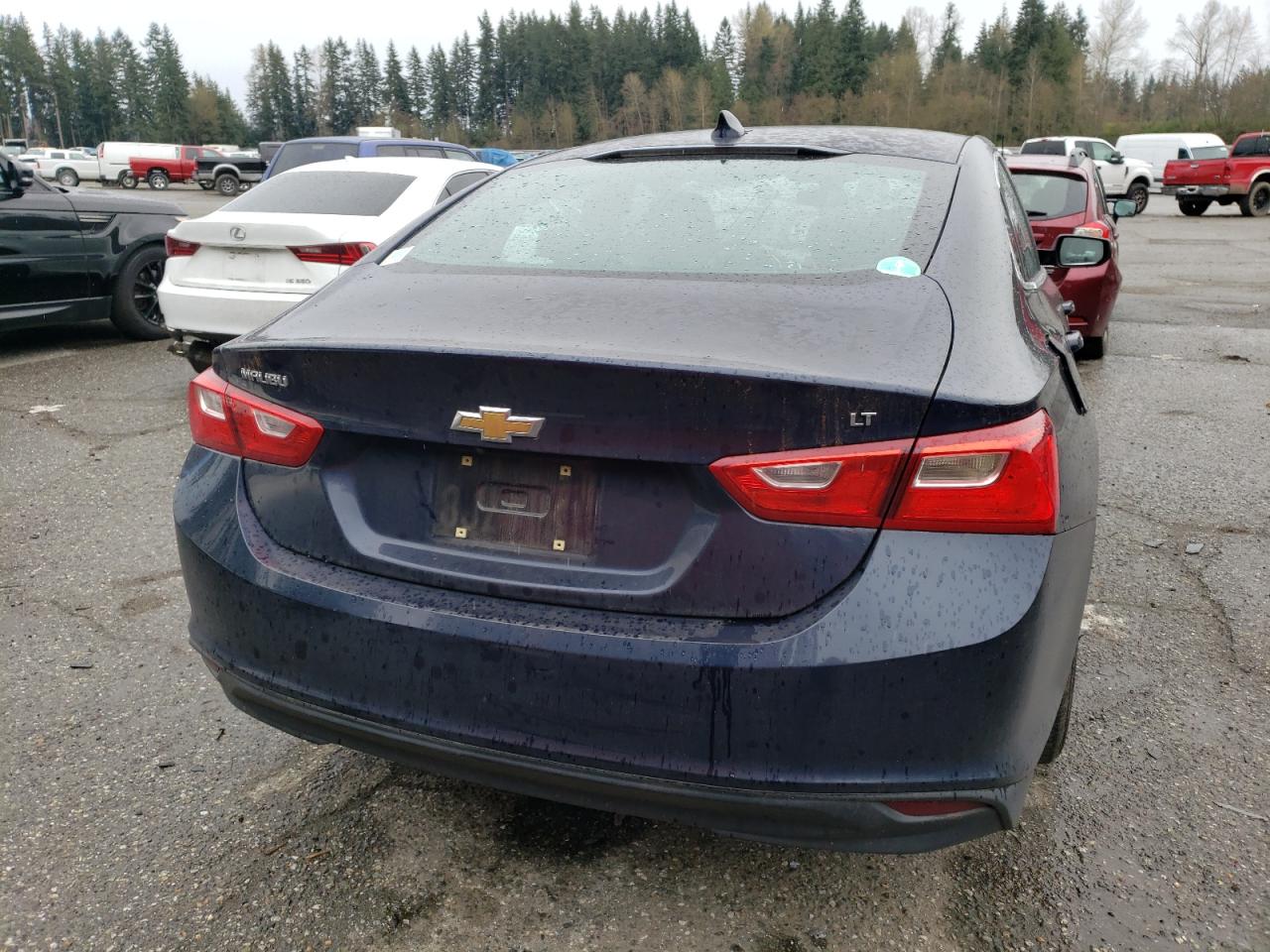 Photo 5 VIN: 1G1ZE5ST7GF263888 - CHEVROLET MALIBU 