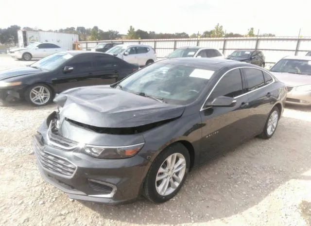 Photo 1 VIN: 1G1ZE5ST7HF242833 - CHEVROLET MALIBU 