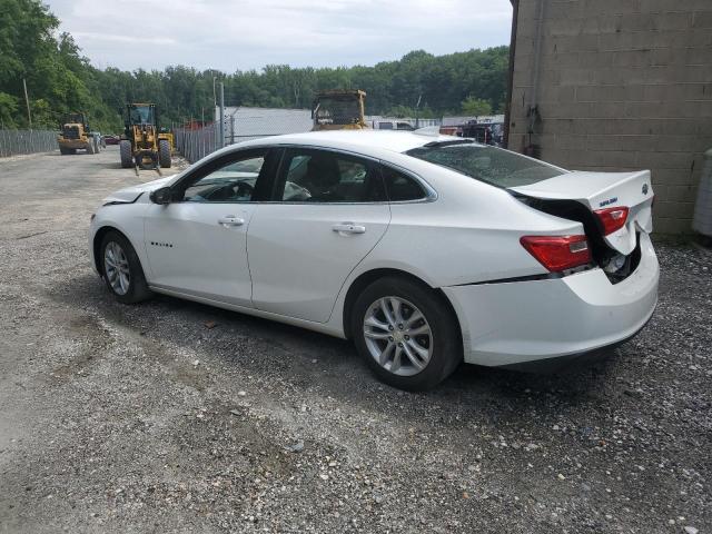 Photo 1 VIN: 1G1ZE5ST8HF106243 - CHEVROLET MALIBU LT 