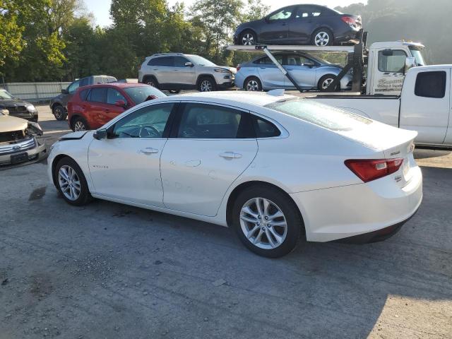 Photo 1 VIN: 1G1ZE5ST9HF206805 - CHEVROLET MALIBU LT 