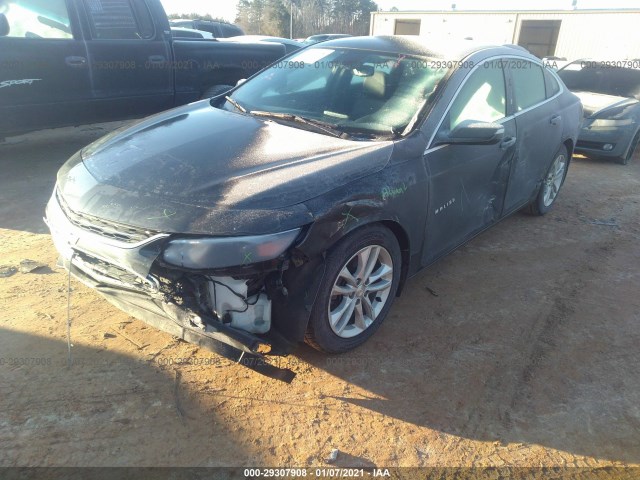 Photo 5 VIN: 1G1ZE5STXGF334971 - CHEVROLET MALIBU 