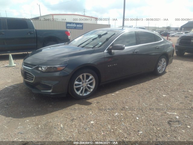 Photo 1 VIN: 1G1ZE5STXGF336056 - CHEVROLET MALIBU 