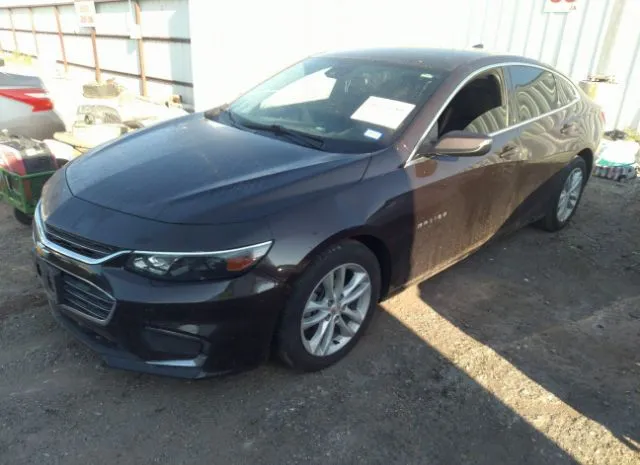 Photo 1 VIN: 1G1ZE5STXGF358199 - CHEVROLET MALIBU 