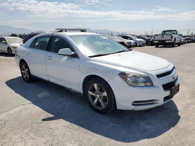 Photo 3 VIN: 1G1ZF57599F105305 - CHEVROLET MALIBU HYB 