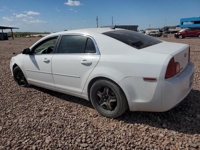 Photo 1 VIN: 1G1ZG57B594255829 - CHEVROLET MALIBU 