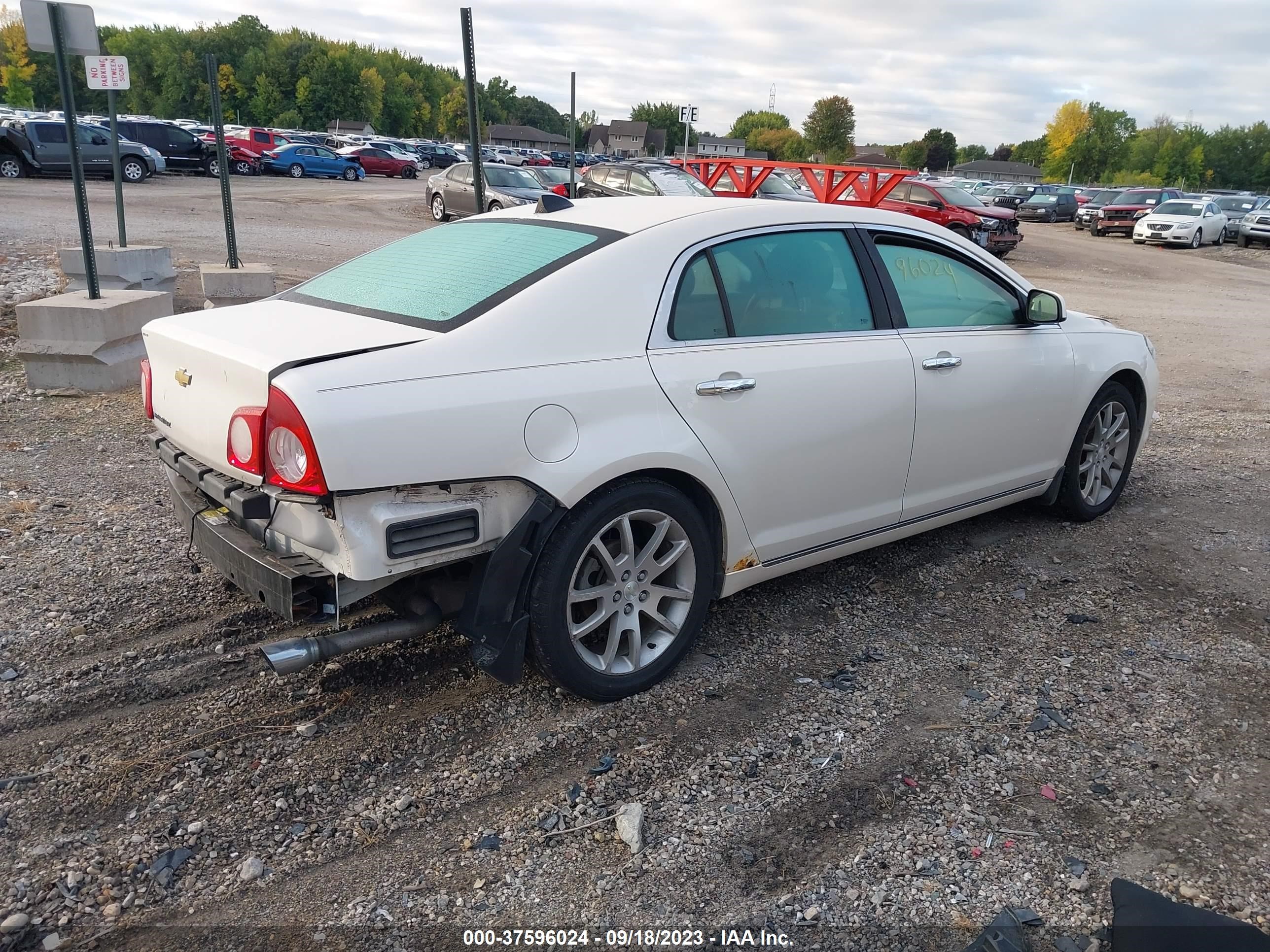 Photo 3 VIN: 1G1ZG5E71CF225849 - CHEVROLET MALIBU 