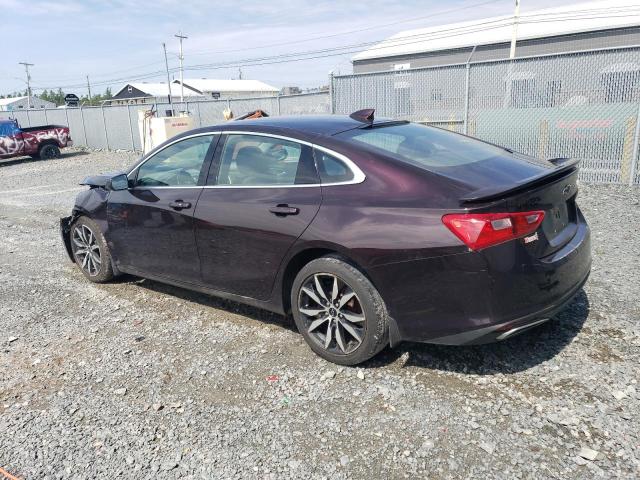 Photo 1 VIN: 1G1ZG5ST0MF053493 - CHEVROLET MALIBU 