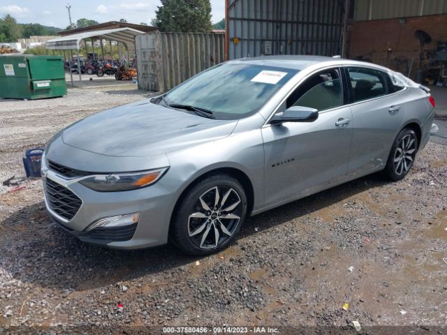 Photo 1 VIN: 1G1ZG5ST1PF153378 - CHEVROLET MALIBU 