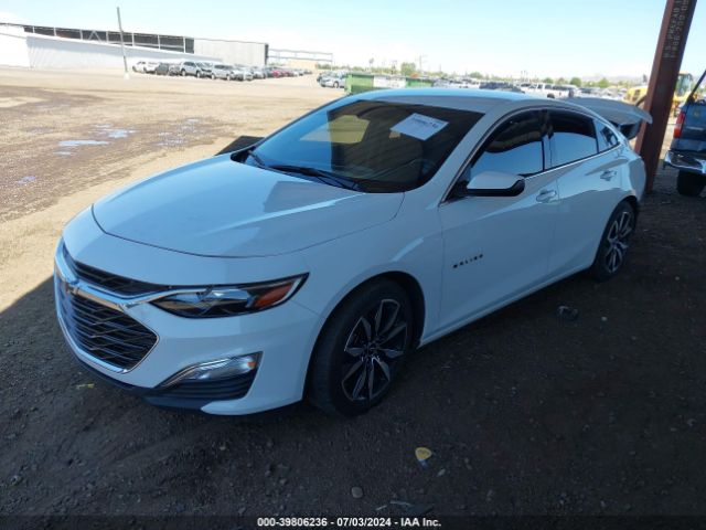 Photo 1 VIN: 1G1ZG5ST3PF144553 - CHEVROLET MALIBU 