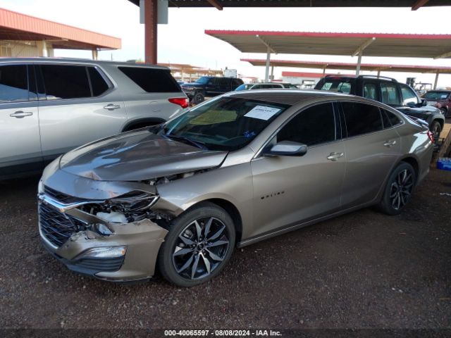 Photo 1 VIN: 1G1ZG5ST3RF104041 - CHEVROLET MALIBU 