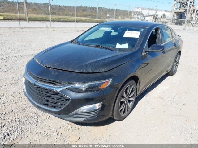 Photo 1 VIN: 1G1ZG5ST4LF141445 - CHEVROLET MALIBU 