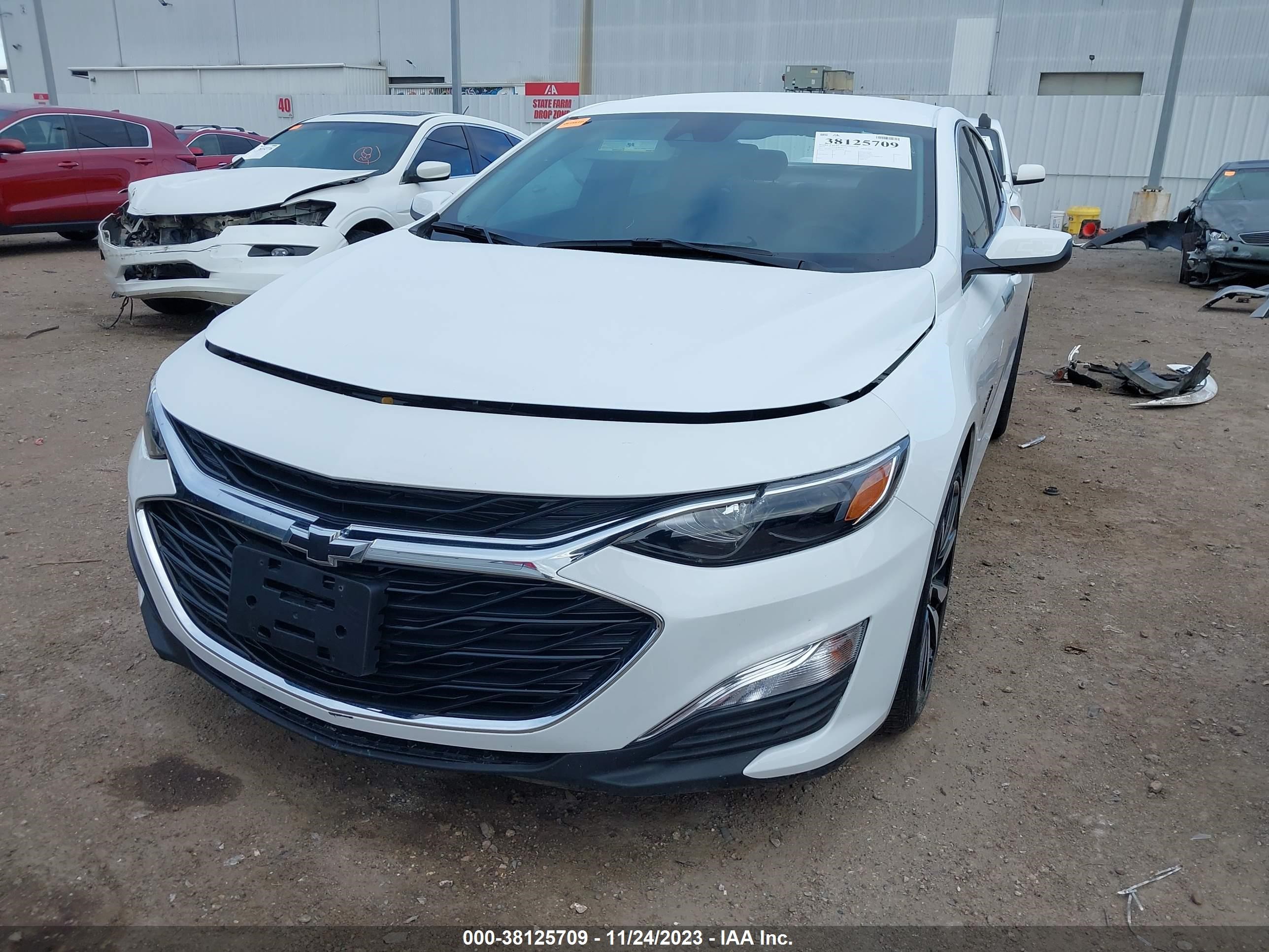 Photo 12 VIN: 1G1ZG5ST7PF234336 - CHEVROLET MALIBU 