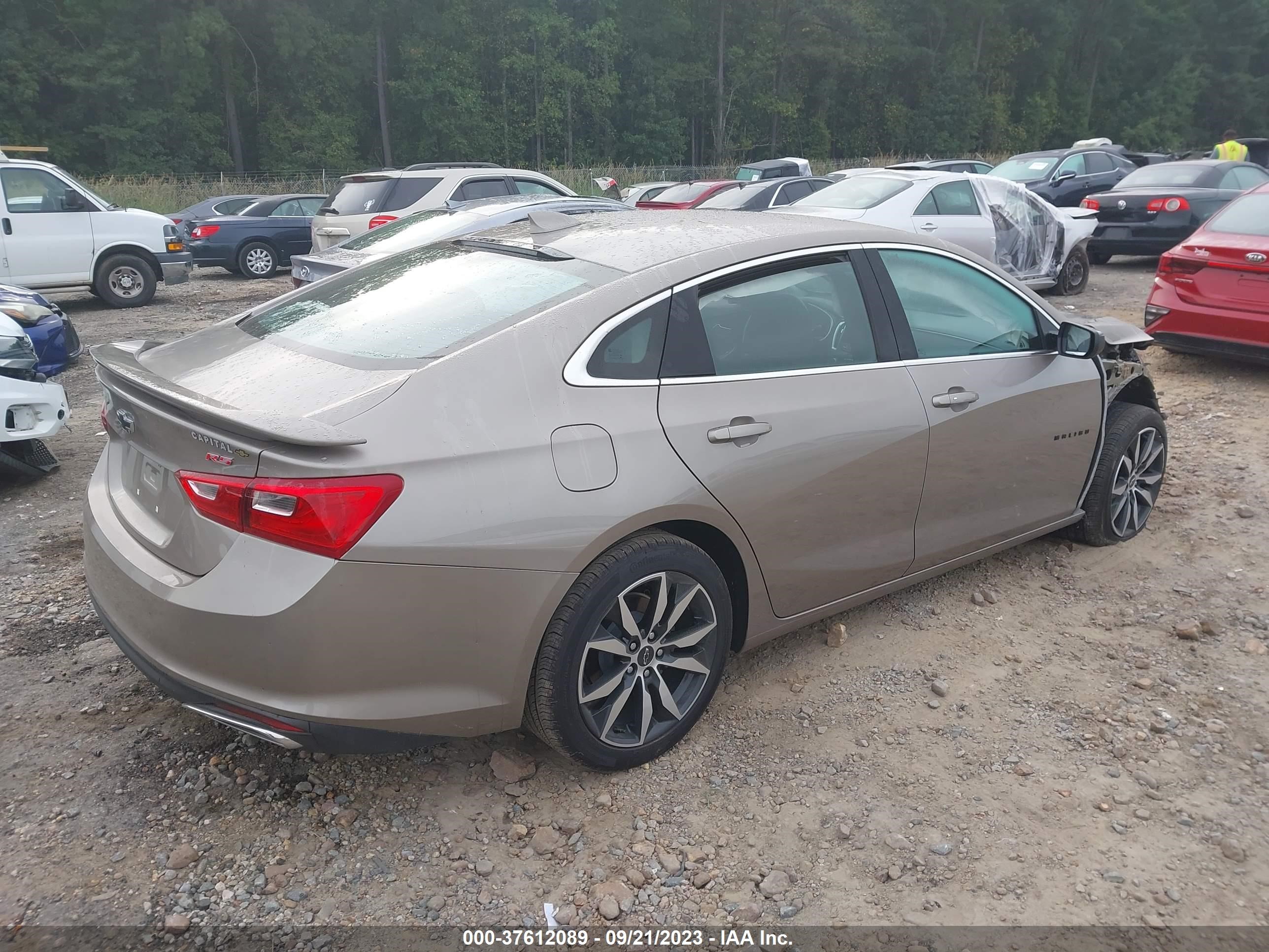 Photo 3 VIN: 1G1ZG5STXPF154609 - CHEVROLET MALIBU 