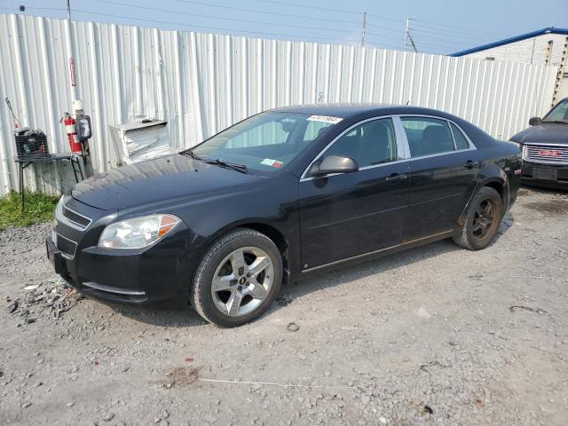 Photo 0 VIN: 1G1ZH57B19F141442 - CHEVROLET MALIBU 1LT 