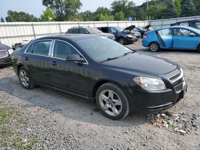 Photo 3 VIN: 1G1ZH57B19F141442 - CHEVROLET MALIBU 1LT 