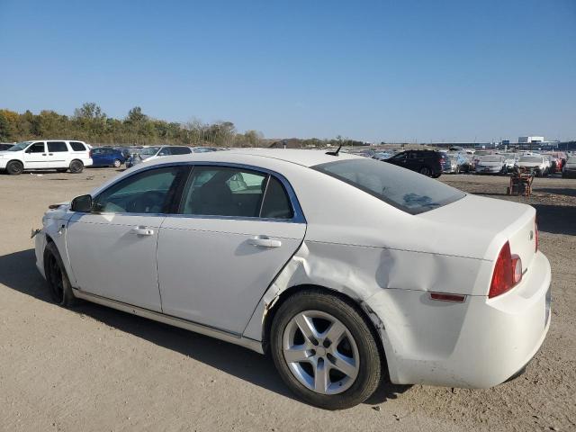 Photo 1 VIN: 1G1ZH57B28F174299 - CHEVROLET MALIBU 1LT 