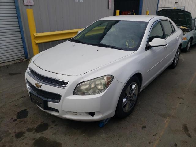 Photo 1 VIN: 1G1ZH57B69F246848 - CHEVROLET MALIBU 1LT 