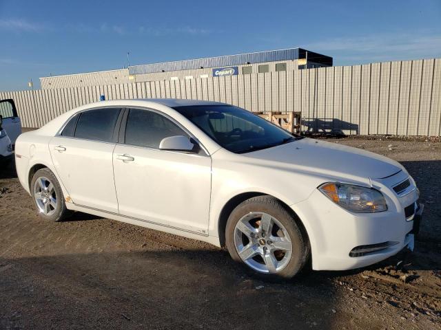 Photo 3 VIN: 1G1ZH57B79F244607 - CHEVROLET MALIBU 1LT 