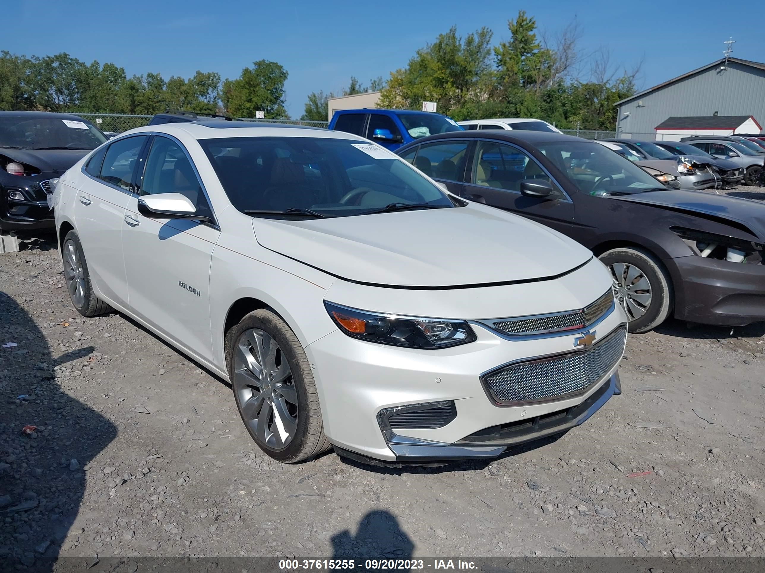 Photo 12 VIN: 1G1ZH5SX2HF236304 - CHEVROLET MALIBU 