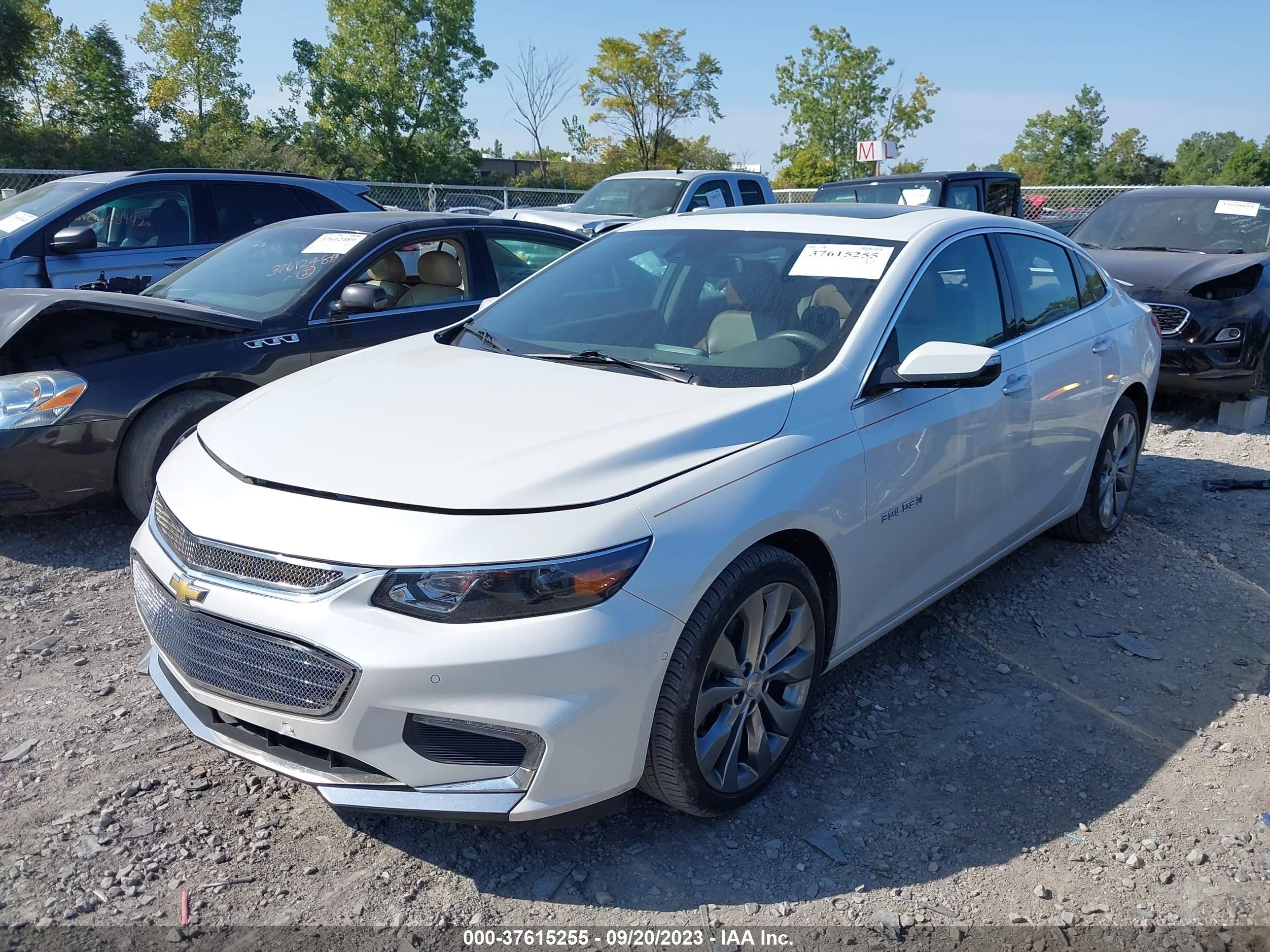 Photo 13 VIN: 1G1ZH5SX2HF236304 - CHEVROLET MALIBU 