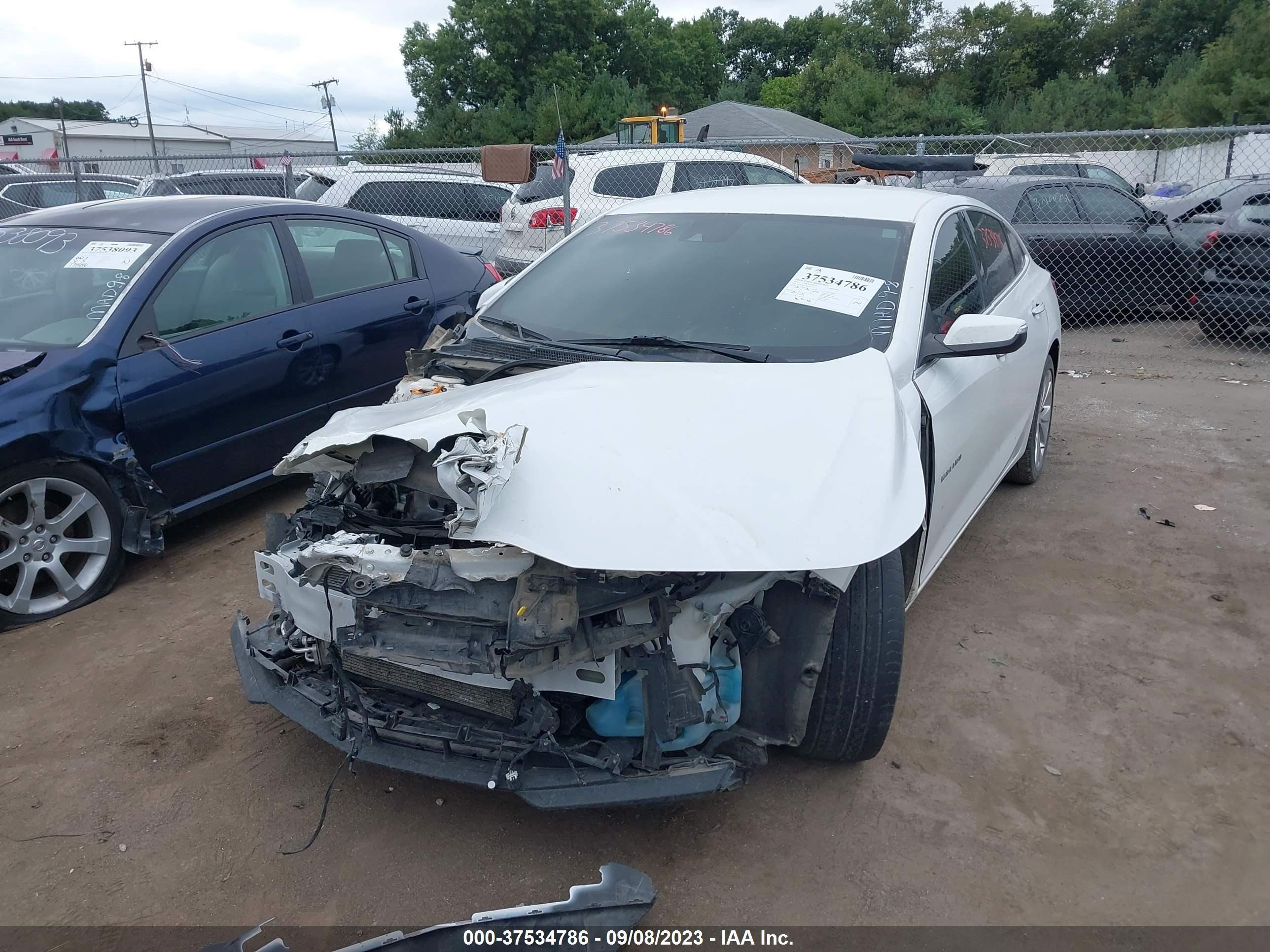 Photo 1 VIN: 1G1ZH5SX3HF256237 - CHEVROLET MALIBU 