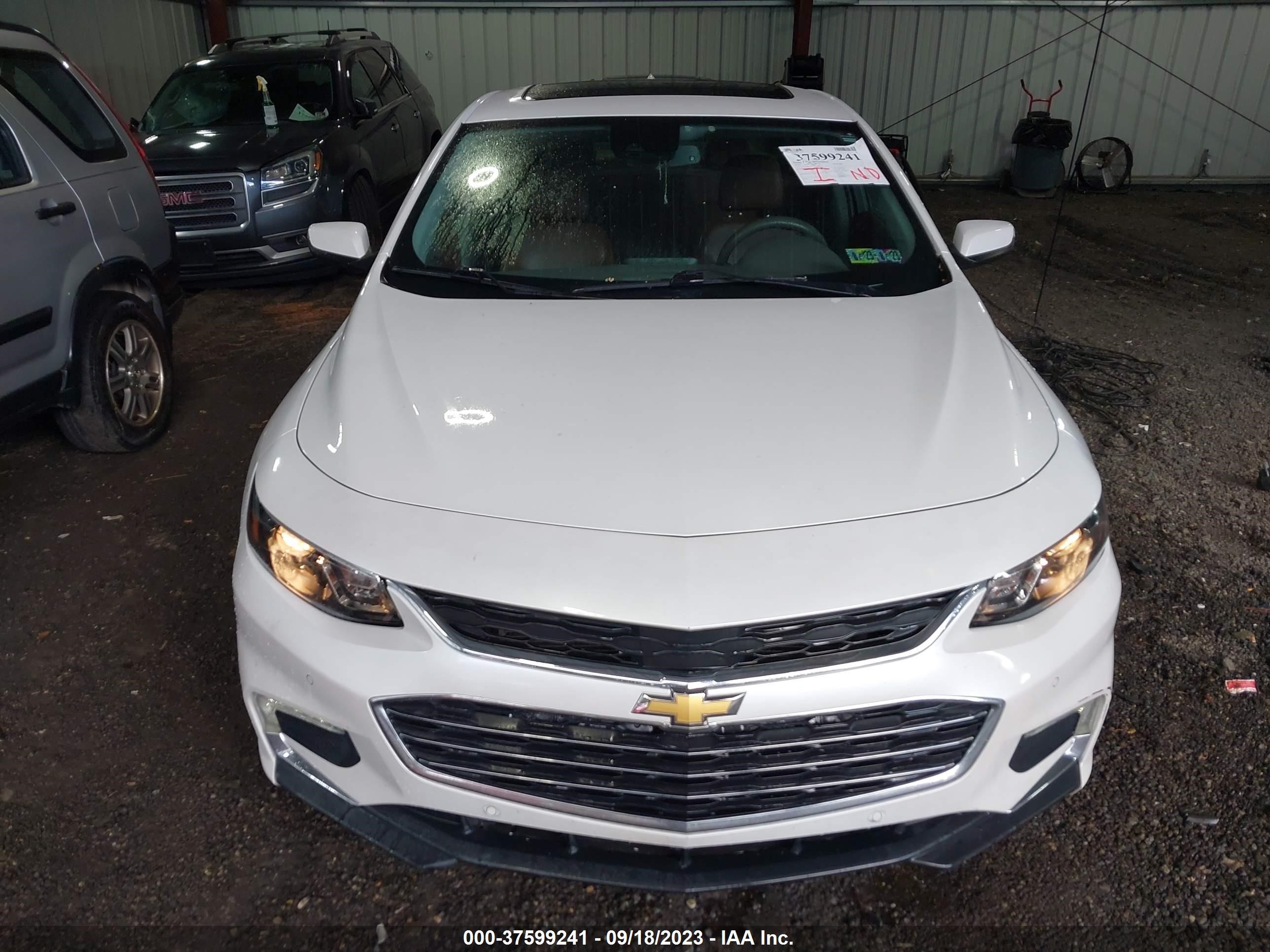 Photo 11 VIN: 1G1ZH5SXXGF352817 - CHEVROLET MALIBU 