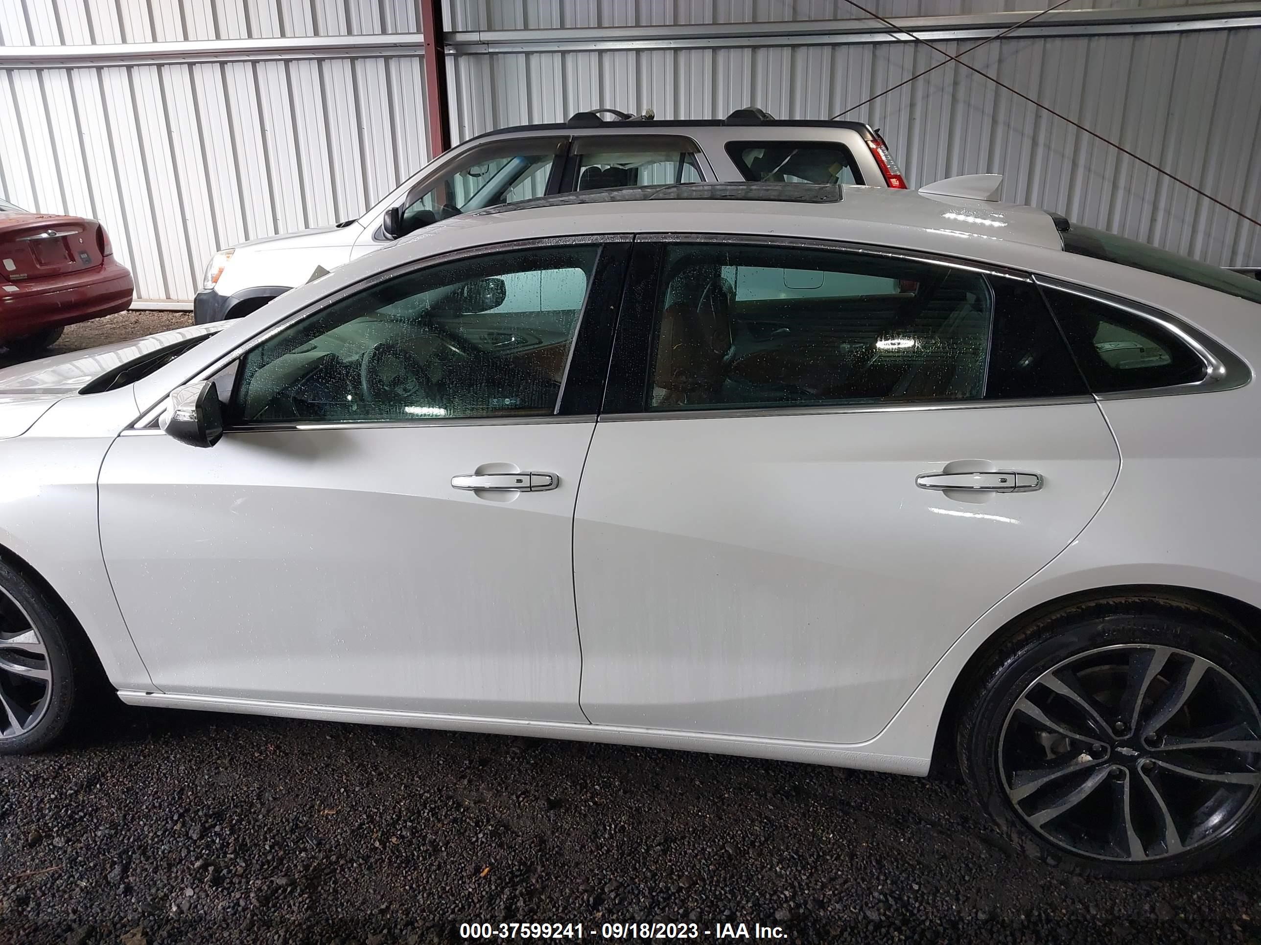 Photo 13 VIN: 1G1ZH5SXXGF352817 - CHEVROLET MALIBU 