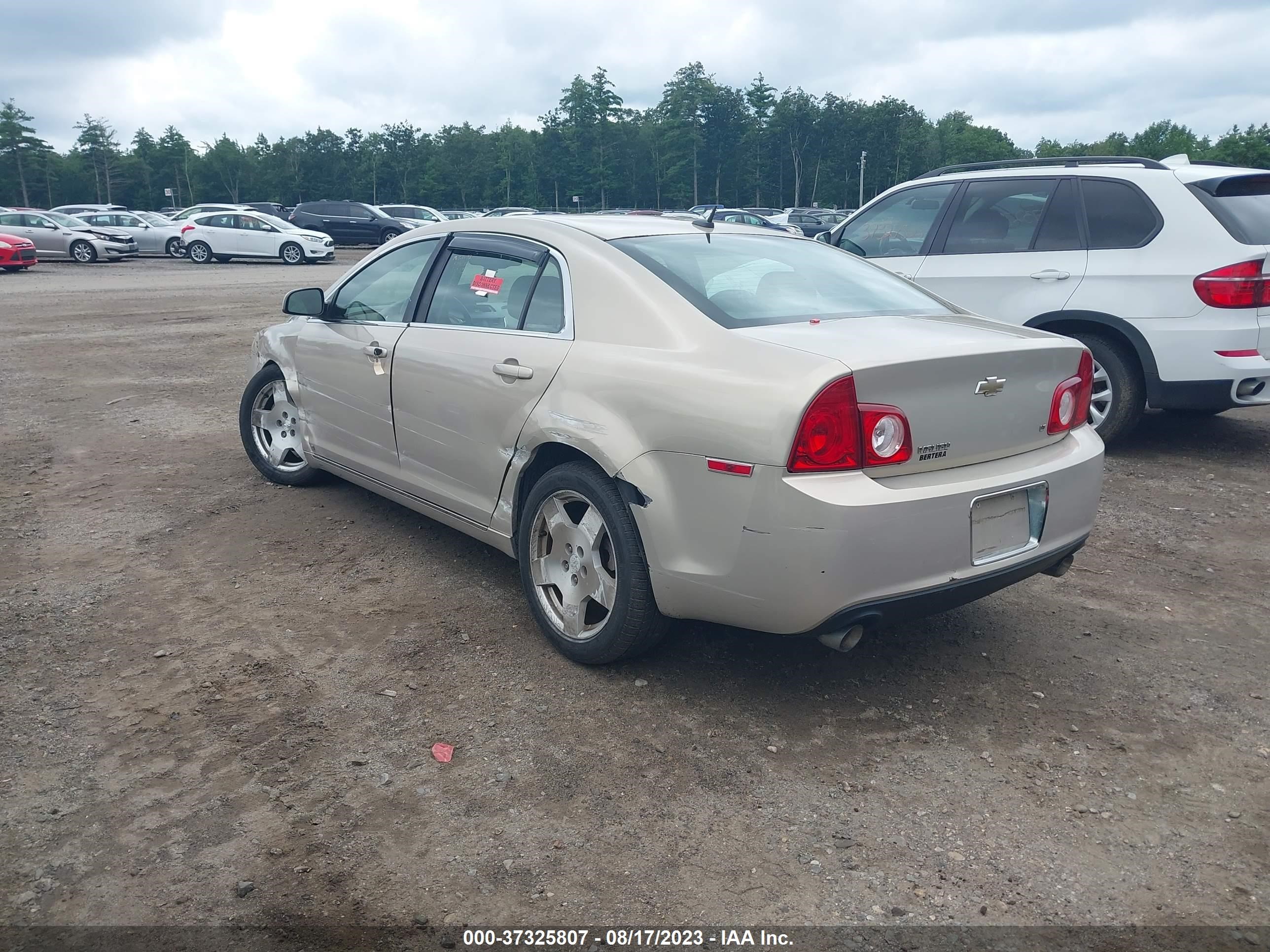 Photo 2 VIN: 1G1ZJ577194182908 - CHEVROLET MALIBU 