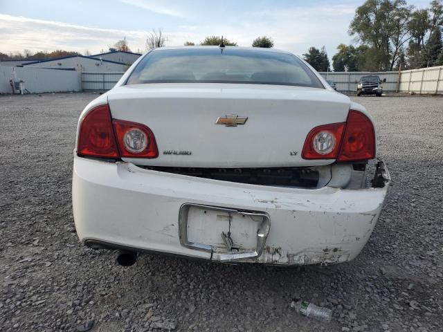 Photo 5 VIN: 1G1ZJ577294108607 - CHEVROLET MALIBU 