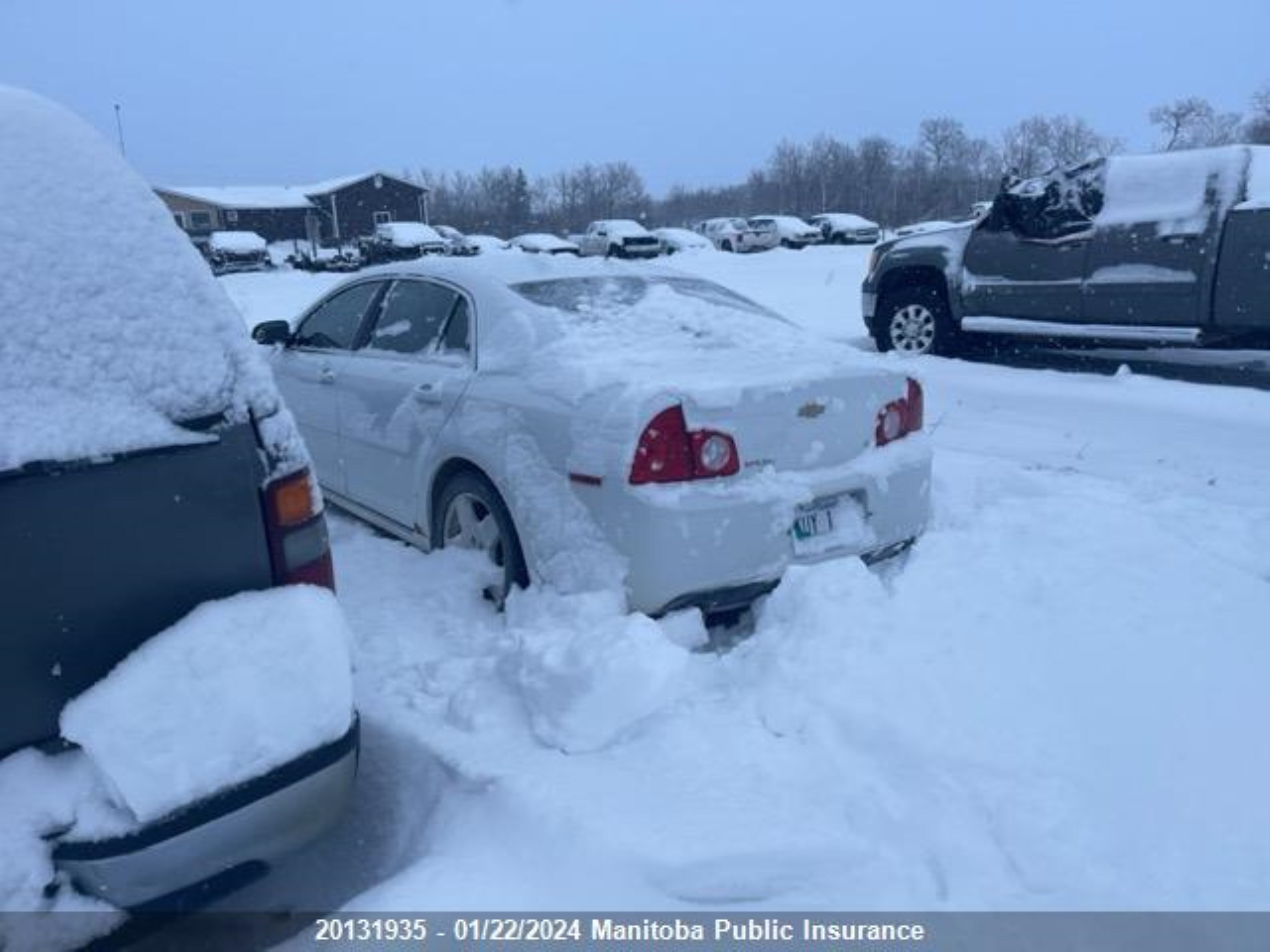 Photo 3 VIN: 1G1ZJ57739F258133 - CHEVROLET MALIBU 