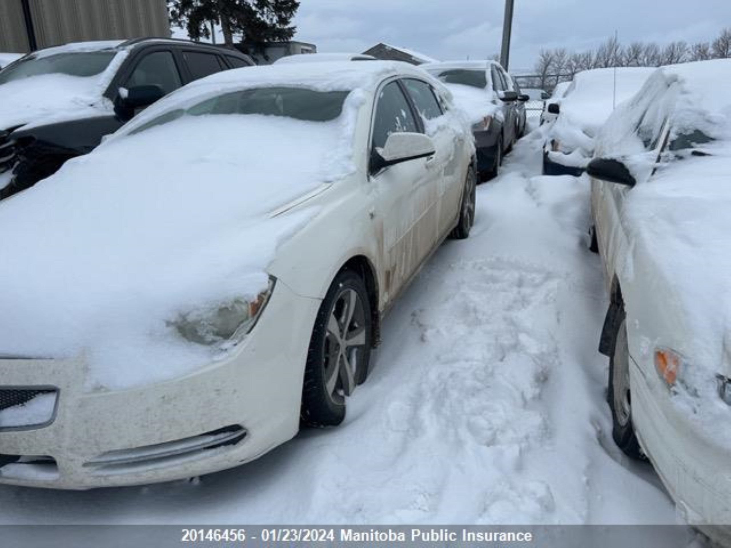 Photo 1 VIN: 1G1ZJ57BX84205816 - CHEVROLET MALIBU 