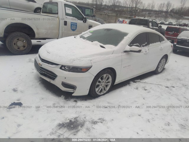 Photo 1 VIN: 1G1ZJ5SU4GF265196 - CHEVROLET MALIBU 