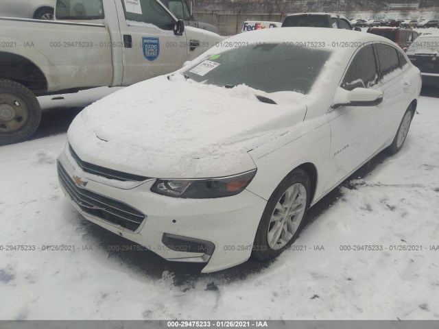 Photo 5 VIN: 1G1ZJ5SU4GF265196 - CHEVROLET MALIBU 