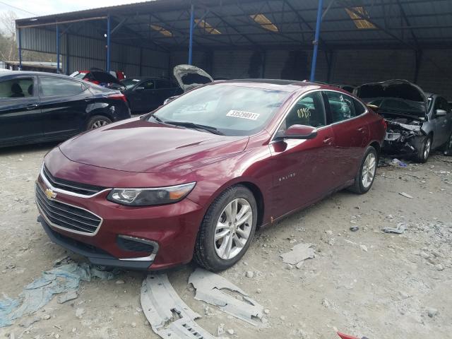 Photo 1 VIN: 1G1ZJ5SU8GF314965 - CHEVROLET MALIBU HYB 