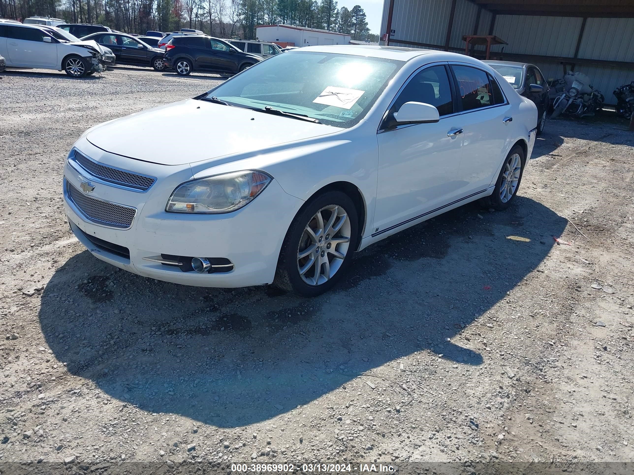 Photo 1 VIN: 1G1ZK57719F159825 - CHEVROLET MALIBU 